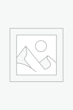 عنصر نائب Placeholder